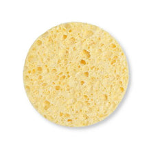 Cellulose Sponge