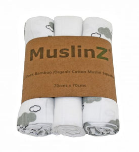 Muslin Squares - Multi Pk