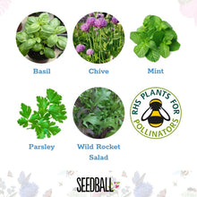 Seedball Tube - Herb