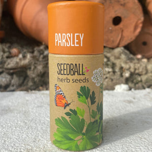 Seedball Tube - Herb