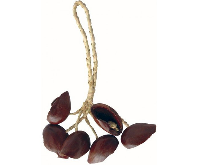 Juju palm fruit seed shaker