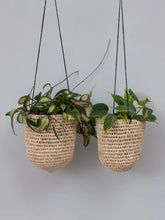 Hanging Basket