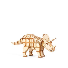 3D Wooden Puzzle