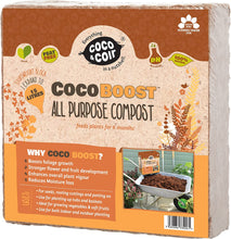 Coco Boost