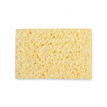 Cellulose Sponge