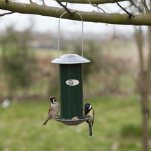 Bird Feeder