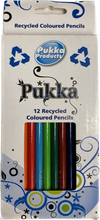 12 Recycled Colour Pencils